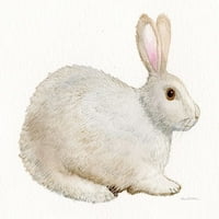 Spring Bunny IV White Poster Print - Kathleen Parr McKenna