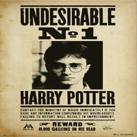 Плакат на Хари Потър Нежестен размер: От