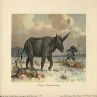 Елазмотериум, изчезнал род на Giant Rhinocerosa Poster Print от ® Florilegius Mary Evans