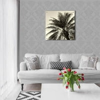 Епично изкуство 'палмово дърво Sepia I' от Debra van Swearingen, Acrylic Glass Wall Art, 24 x24