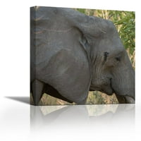 Женски слон - Забия - Съвременна изящна изкуство Giclee on Canvas Gallery Wrap - Décor на стена - Арт живопис - Готов за окачване